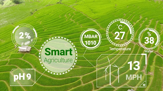 1658218905155995.jpg 攝圖網(wǎng)_302604091_通過(guò)未來(lái)感應(yīng)器數(shù)據(jù)收集管理通過(guò)人工智能控制作物生長(zhǎng)和收獲的質(zhì)量計(jì)算機(jī)幫助種植概念(企業(yè)商用).jpg