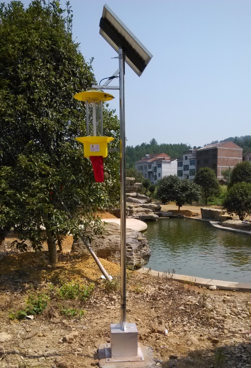 如何使用紫外線誘捕蒼蠅？