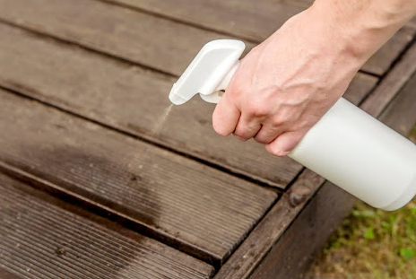 昆蟲不喜歡的 5 種氣味是什么？