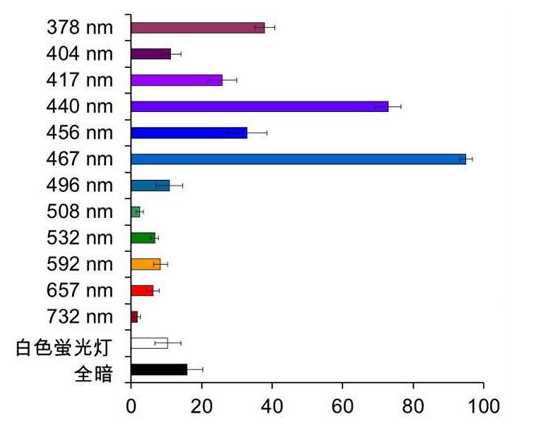 藍色是殺蟲工具。 存在于昆蟲中