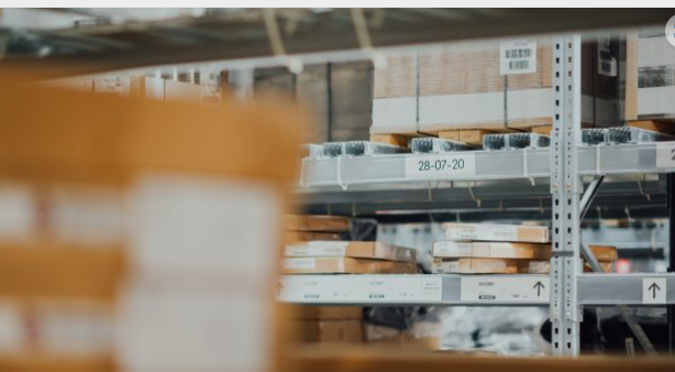 專業(yè)害蟲防治服務：商業(yè)企業(yè)的解決方案