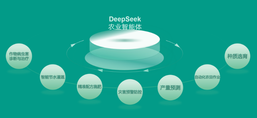 1772104375152594.jpg 1.jpg