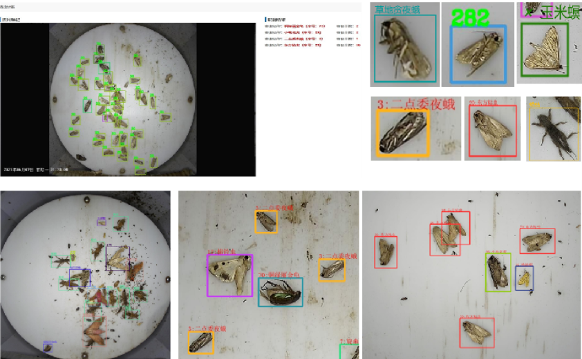 重磅！河南省農(nóng)科院與云飛科技聯(lián)合發(fā)布DeepSeek農(nóng)業(yè)智能體