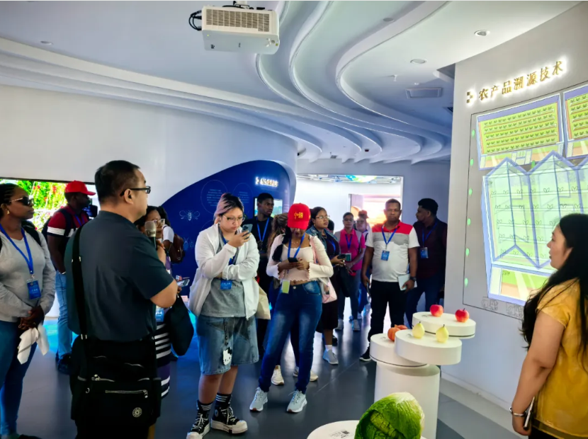 1772107308105106.jpg 1.jpg