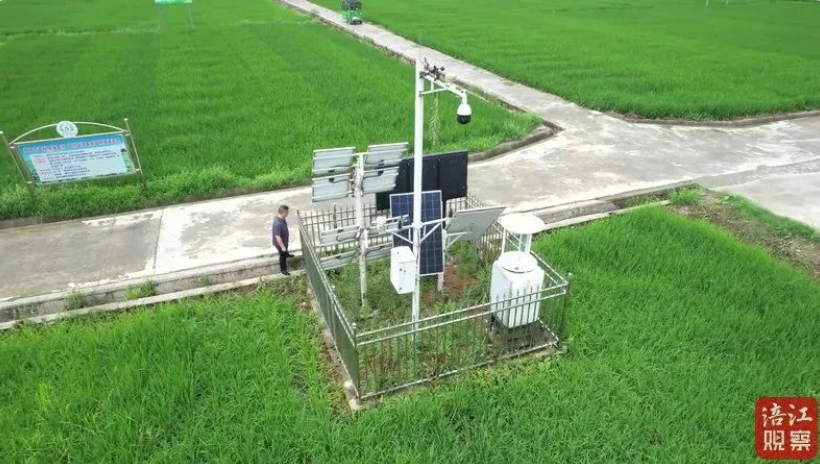 用科技守護(hù)每一寸農(nóng)田，云飛科技助力安州繪就‘豐收圖’”