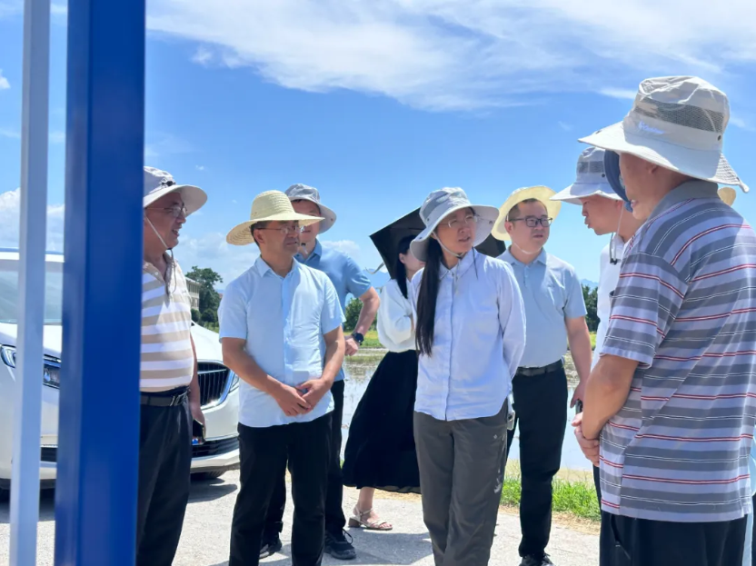 全國秋糧病蟲害會商會召開 | 云飛科技湖南省級監(jiān)測點(diǎn)獲肯定