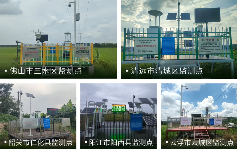 1772170355113953.jpg 1.jpg