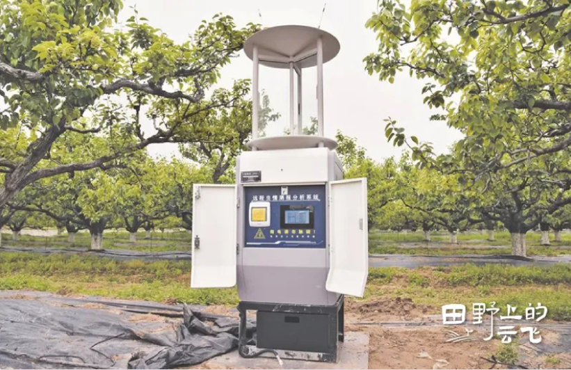 1772173874556748.jpg 2.jpg