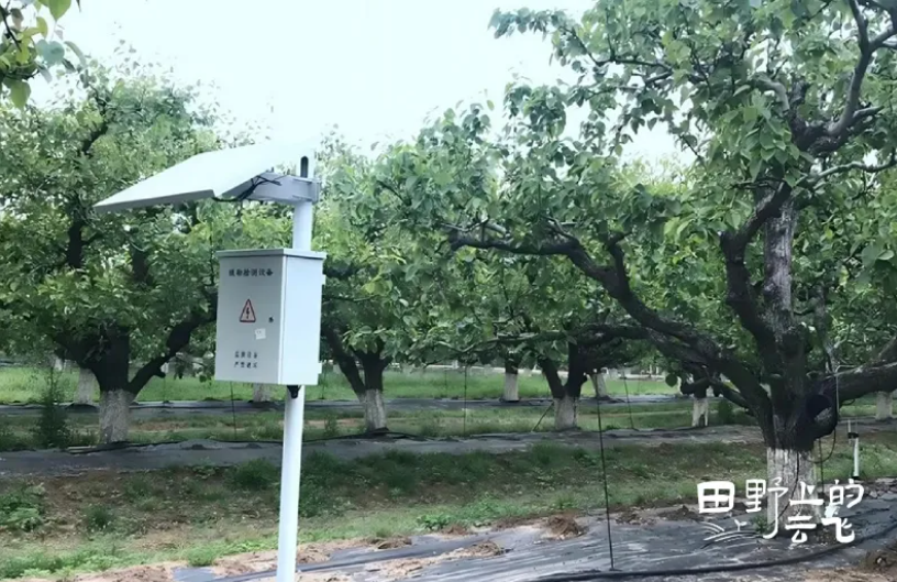 1772173896413531.jpg 3.jpg