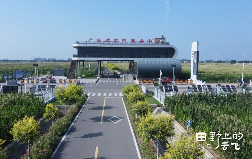 安陽廣潤(rùn)坡高標(biāo)準(zhǔn)農(nóng)田示范區(qū)：在萬畝良田上，建一座數(shù)字糧倉