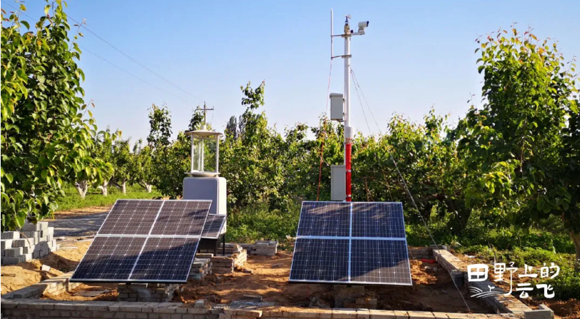 1772175241331212.jpg 2.jpg