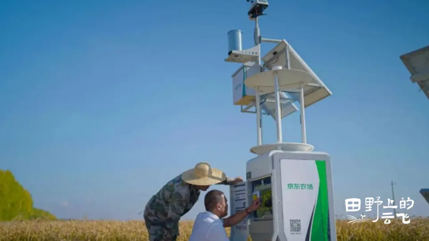 1772175280682247.jpg 3.jpg