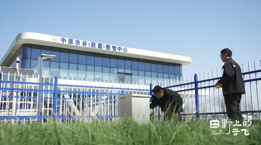 1772175974125944.jpg 1.jpg