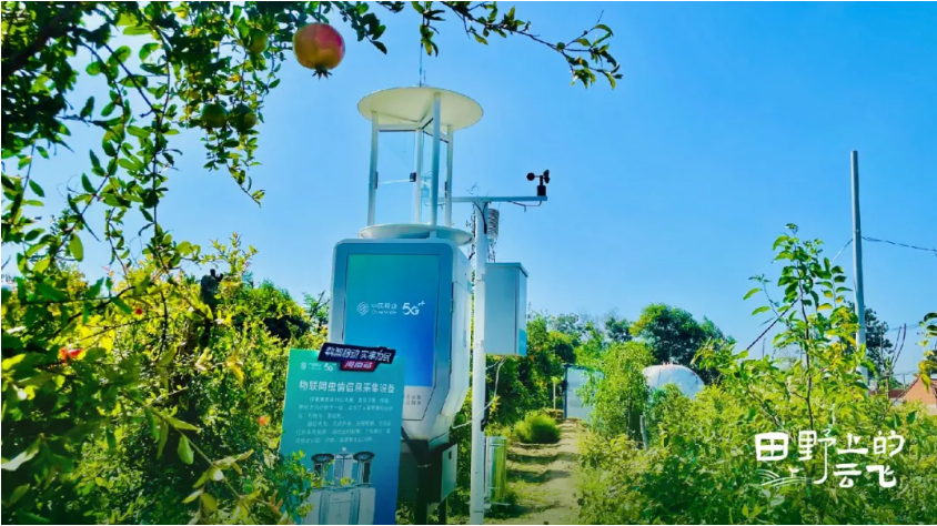 1772176324135372.jpg 2.jpg