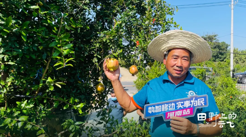 1772176377131673.jpg 3.jpg