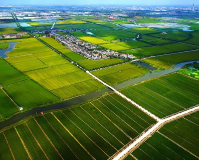 農(nóng)林“四情”監(jiān)測(cè)預(yù)警系統(tǒng)是什么？