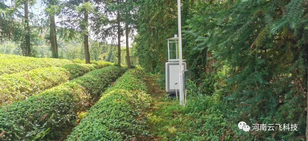 智能蟲情測報(bào)燈