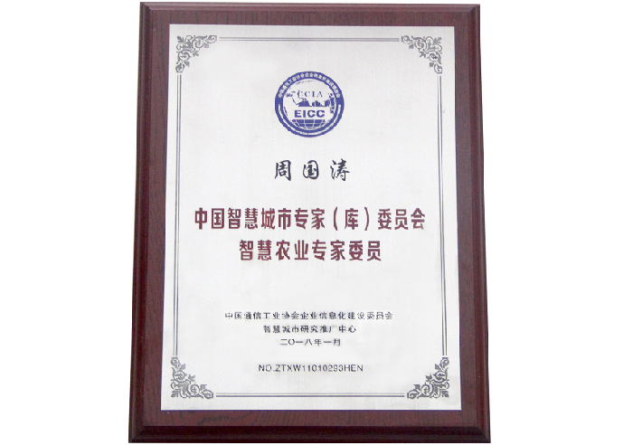 中國(guó)智慧城市專家（庫(kù)）委員會(huì)證書(shū)