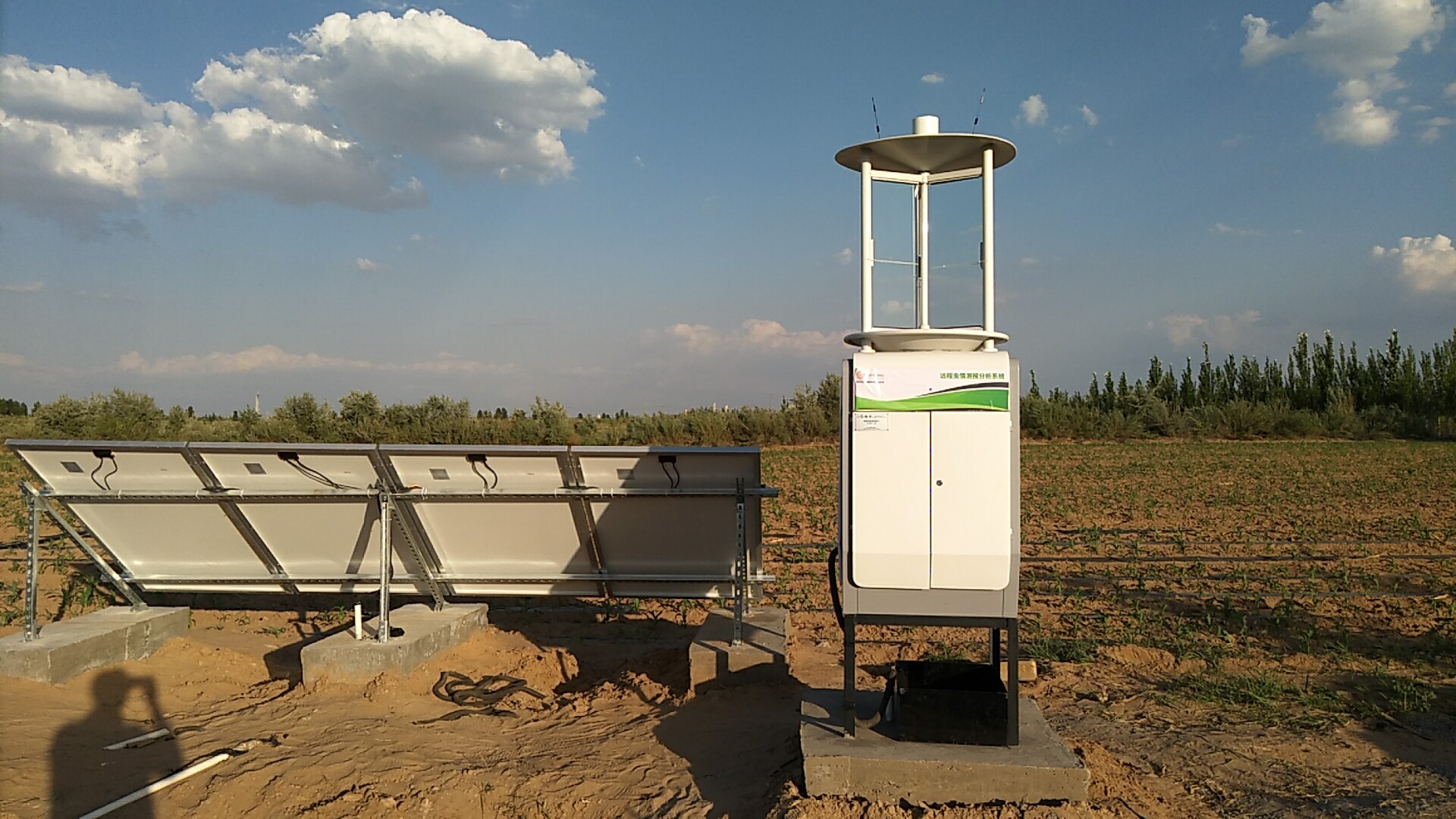 智能性誘蟲情測報(bào)燈