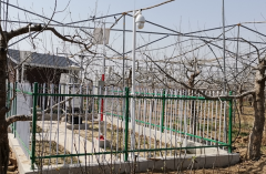 遠(yuǎn)程拍照式蟲情測(cè)報(bào)燈真的能夠?qū)崿F(xiàn)蟲害的遠(yuǎn)程