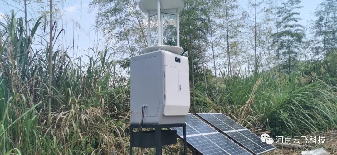 智能蟲(chóng)情測(cè)報(bào)燈