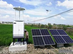 遠(yuǎn)程拍照式蟲情測報燈工作原理